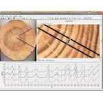 RINNTECH Lignovision