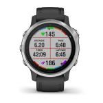 Garmin fenix 6s Gümüş-Siyah