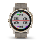 Garmin fenix 6s Sapphire Gold - Gri Deri Kayış