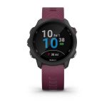 Garmin Forerunner 245 - Mor