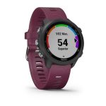 Garmin Forerunner 245 - Mor - Görsel 2