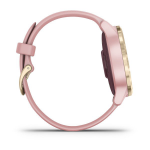 Garmin vivoactive 4s Gold Dust Rose - Görsel 4